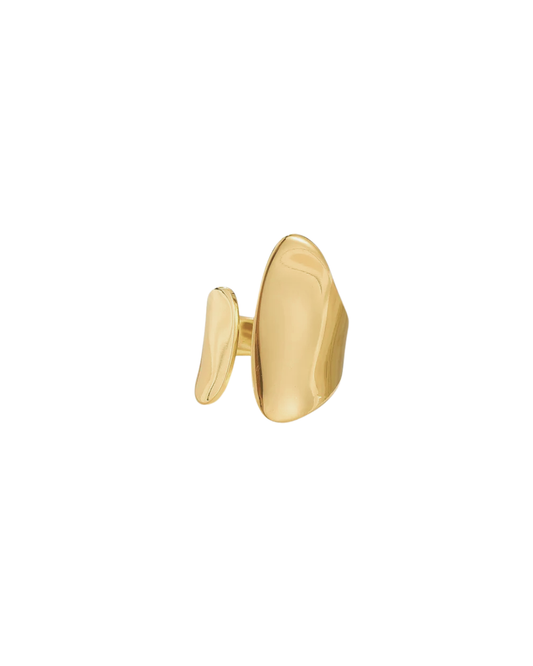 Anillo Chunky