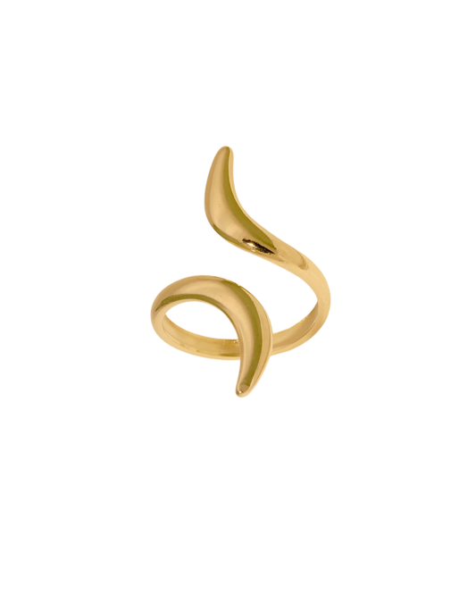 Anillo Espiral